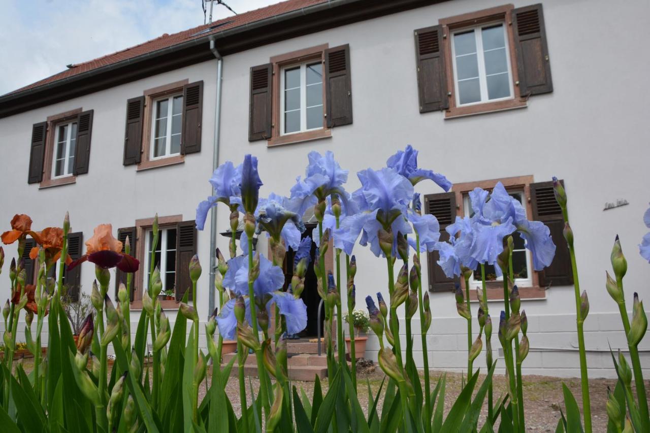 Ferme Les Iris Apartment Issenheim Exterior photo